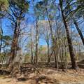 Lot 77 Pirate Cove Way - Photo 2