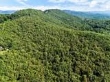 1824 Fain Peak - Photo 10
