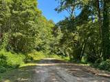 1824 Fain Peak - Photo 12