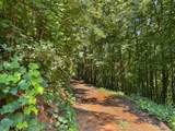 1824 Fain Peak - Photo 14