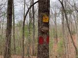 1824 Fain Peak - Photo 21
