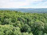 1824 Fain Peak - Photo 6
