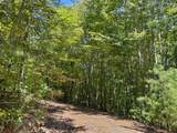 1824 Fain Peak - Photo 9