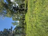 385 Shagbark Way - Photo 1