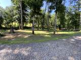 34 Honey Hole Trail - Photo 23