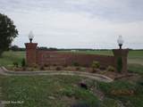 421 Pointe Vista Drive - Photo 3