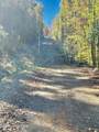 Lot 1,2 Royal Oaks Trail - Photo 8