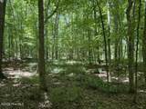 541 Steel Bridge Road - Photo 1