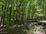 541 Steel Bridge Road - Photo 2