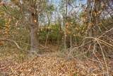 0 Gaddy's Mill Rd - Photo 13