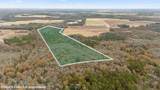 0 Gaddy's Mill Rd - Photo 3
