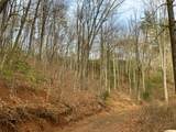 Lot 4 Ivy Log Road - Photo 2