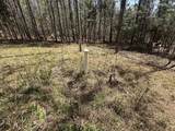 1035 Seminole Drive - Photo 11
