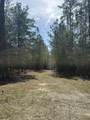 1035 Seminole Drive - Photo 4