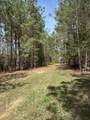 1035 Seminole Drive - Photo 6