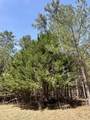 1035 Seminole Drive - Photo 8