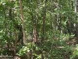 307 Thimbleberry Drive - Photo 4