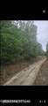 00 Leonard Lane - Photo 4