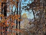 36 54C Ash Branch Circle - Photo 2