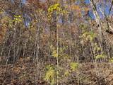 36 54C Ash Branch Circle - Photo 4