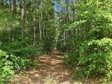 0 Saintsville Road - Photo 14
