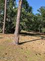 113 Plantation Passage Drive - Photo 3