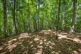 20 AC Pack Mountain Road - Photo 8