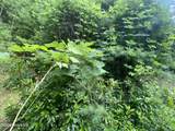 367 Chastain Road - Photo 7