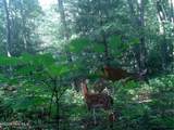 00 Amber Lane - Photo 12