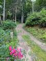 00 Amber Lane - Photo 2
