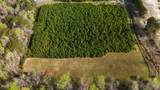 Tr1 Smallwood Road - Photo 4