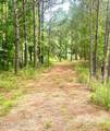 3984 Pocosin Road - Photo 43