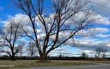 1500 Old Lumberton Road - Photo 1