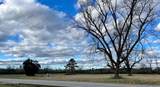 1500 Old Lumberton Road - Photo 6