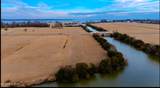 Lot 5 Blue Heron Boulevard - Photo 2