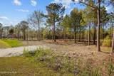 699 Vandemere Creek Drive - Photo 14