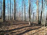 205 ac Treehouse Trail - Photo 10