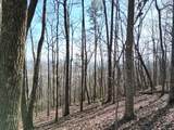 205 ac Treehouse Trail - Photo 11