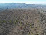 205 ac Treehouse Trail - Photo 13