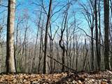 205 ac Treehouse Trail - Photo 2