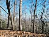 205 ac Treehouse Trail - Photo 3
