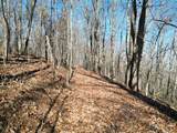 205 ac Treehouse Trail - Photo 4