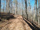 205 ac Treehouse Trail - Photo 5