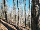 205 ac Treehouse Trail - Photo 6