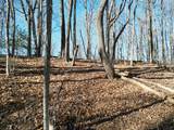 205 ac Treehouse Trail - Photo 8