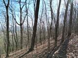205 ac Treehouse Trail - Photo 9