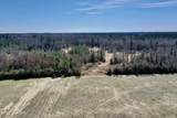0 Near 2034 Haynes Len Highway - Photo 2