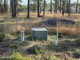 269 Shell Castle Lane - Photo 8
