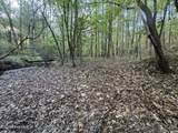 0 Cartledge Creek Road - Photo 11