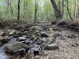 0 Cartledge Creek Road - Photo 12